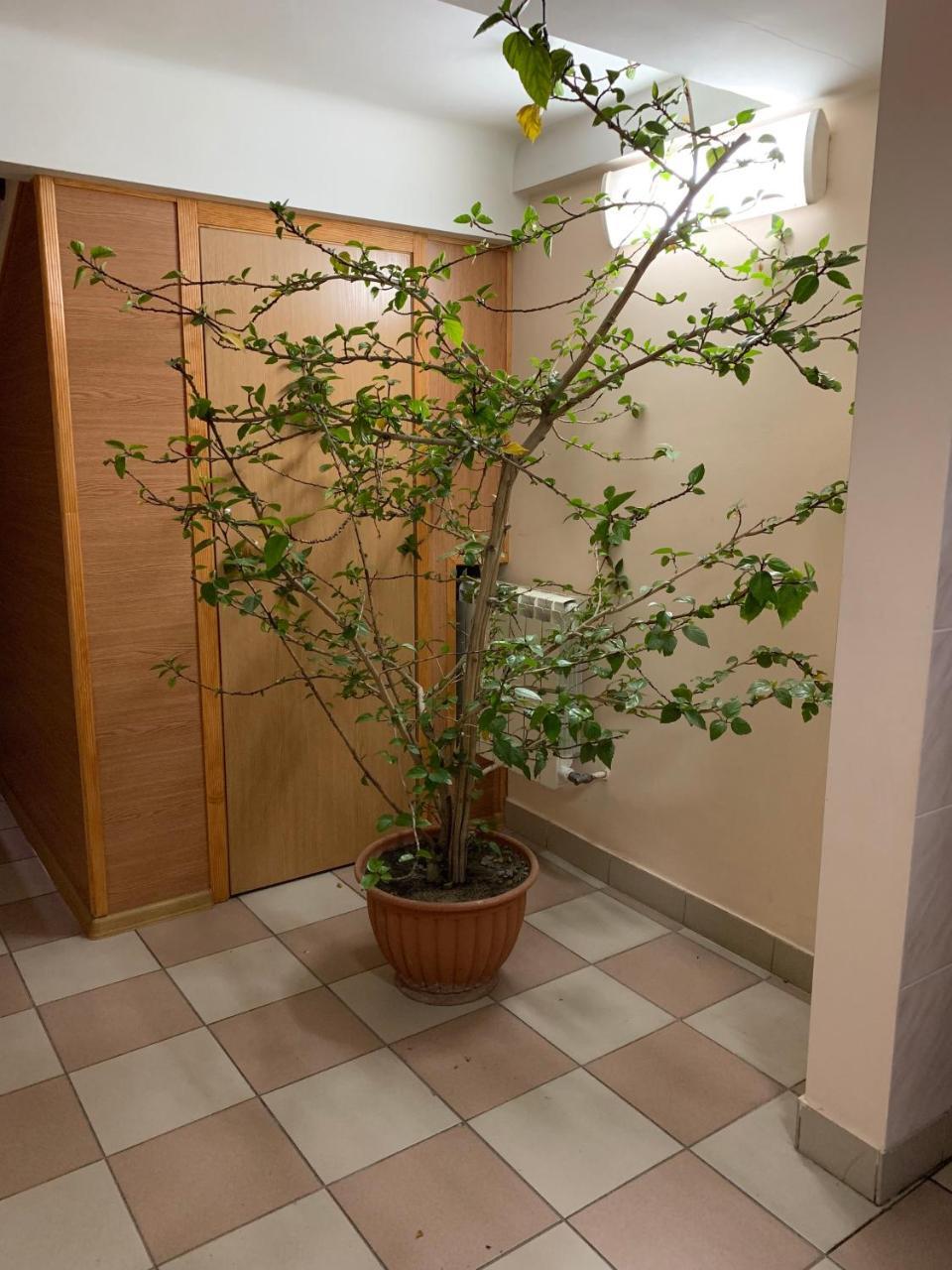 Inn on Zhytomyrska Kijów Zewnętrze zdjęcie